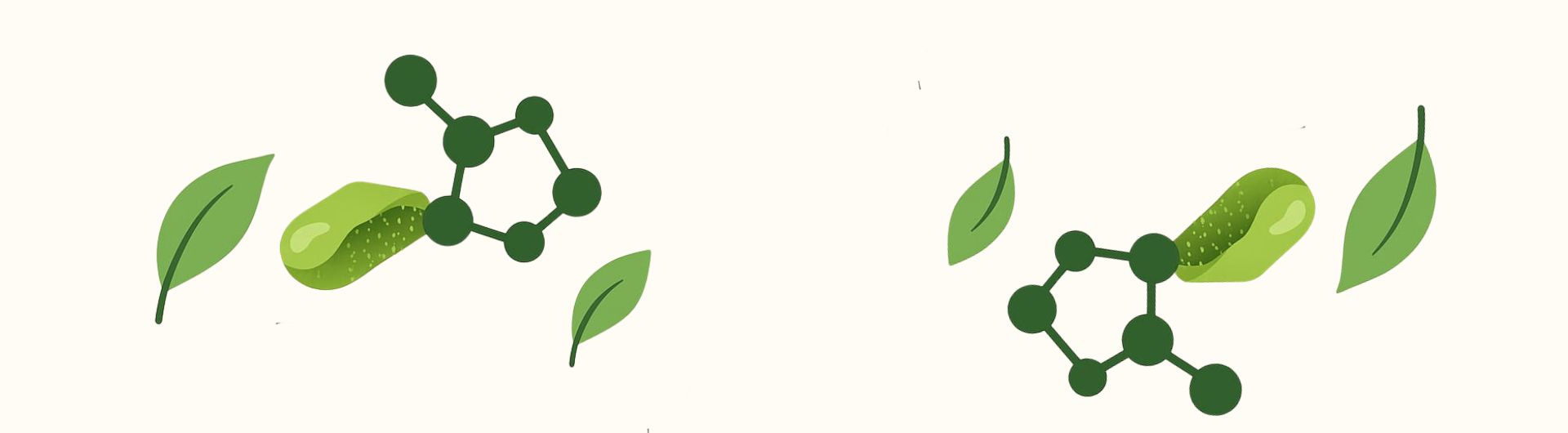 PACK 3 Consultas Ortomolecular - Acompanhamento Mensal MIC